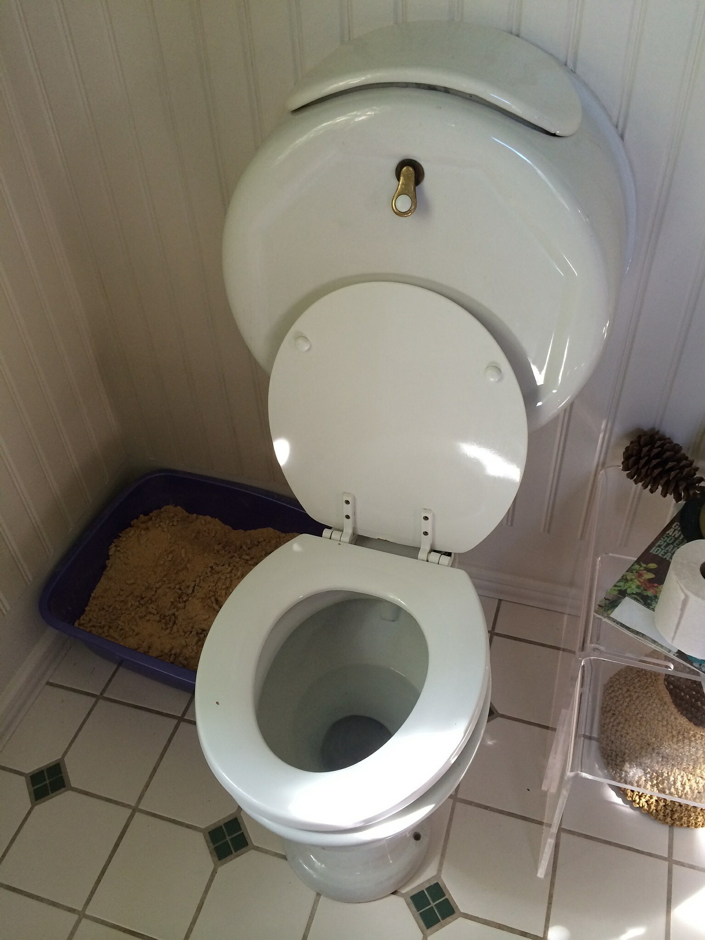 What should you do to avoid toilet problems?