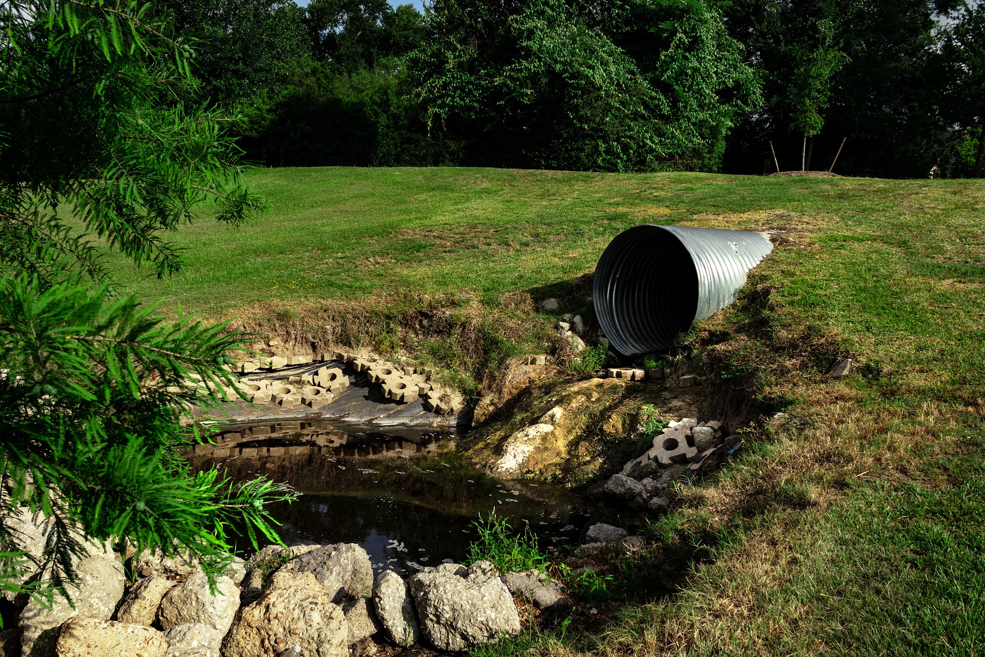 The Dangerous Consequences of Untreated Sewer Line Problem